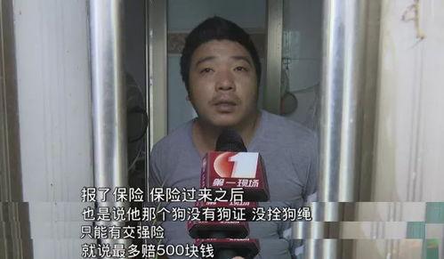 深圳一女士爆料视频最新,揭露惊人真相！  第3张