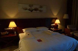 乐山酒店爆料事件真相视频,真相视频曝光背后的真相  第2张