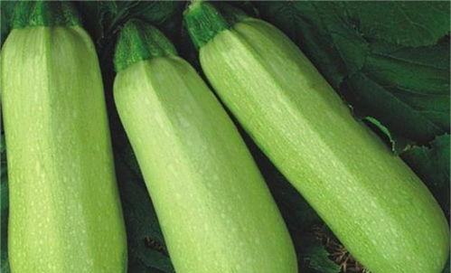 热门吃瓜网红排行榜图片,揭秘网络红人风云变幻  第2张