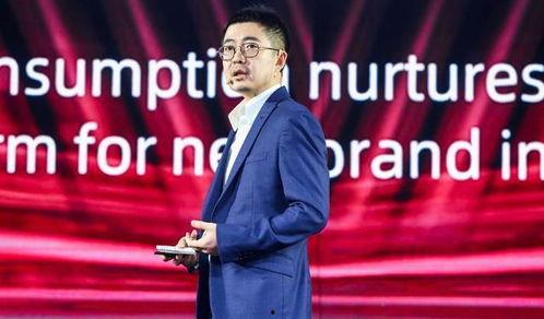 阿里和蒋凡最新爆料视频,揭秘与马云的冲突与真相 第2张 阿里和蒋凡最新爆料视频,揭秘与马云的冲突与真相 第2张